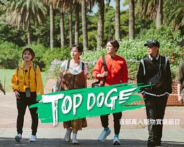海外直播b站《TOP DOG》免费在线观看