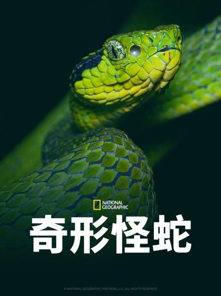 海角乱伦《奇形怪蛇》免费在线观看